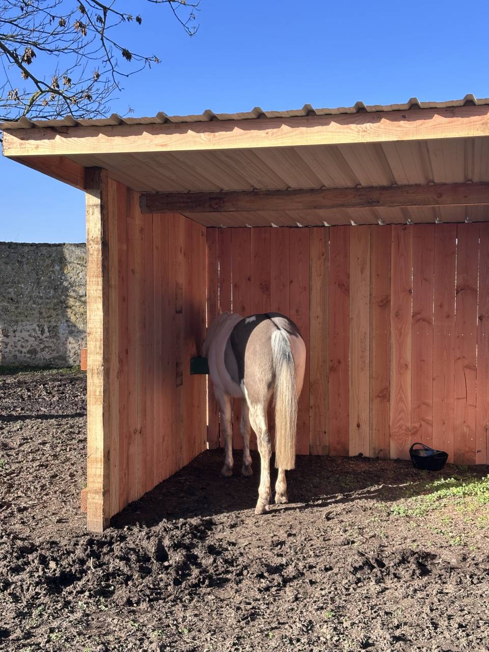 Belle propri&eacute;t&eacute; &eacute;questre + G&icirc;tes