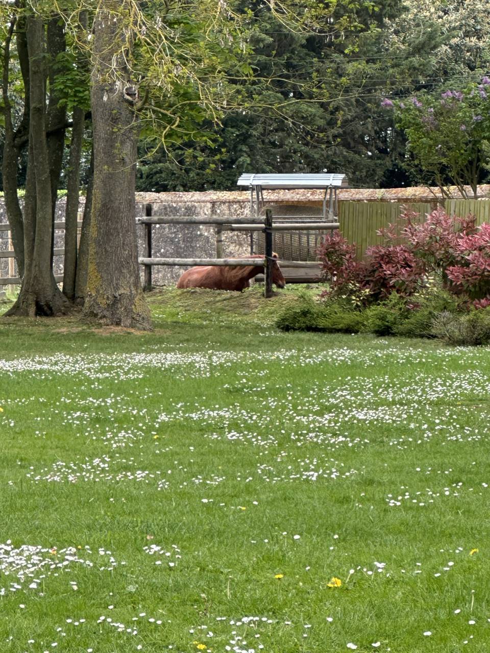 Belle propri&eacute;t&eacute; &eacute;questre + G&icirc;tes