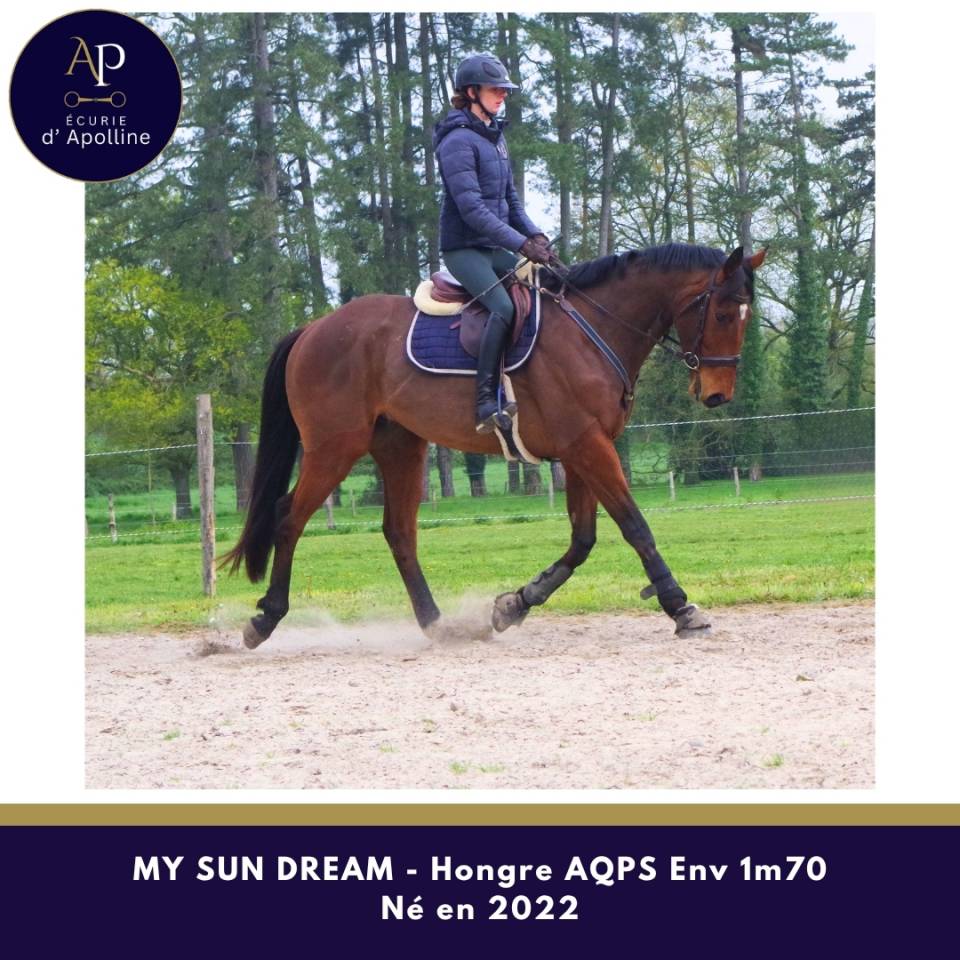 AQPS 4 ans env 1m70