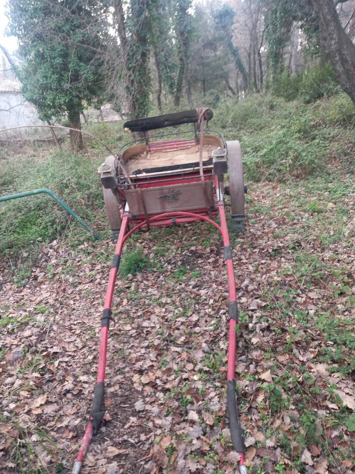 Cal&egrave;che dresseuse