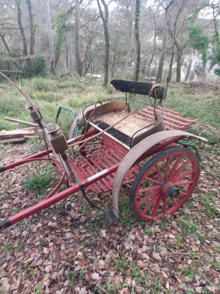 Cal&egrave;che dresseuse
