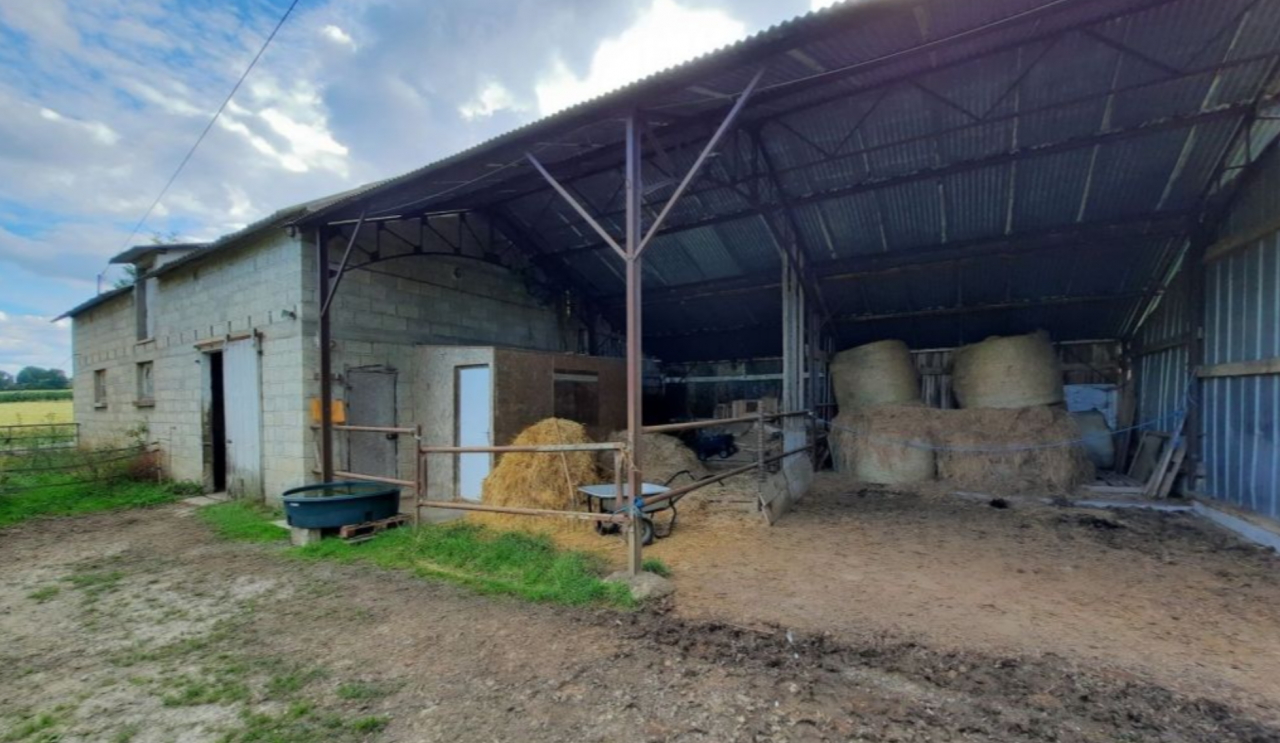 MAISON + HANGAR + ECURIE 3 BOX + PRAIRIE (sur 1,8 ha)