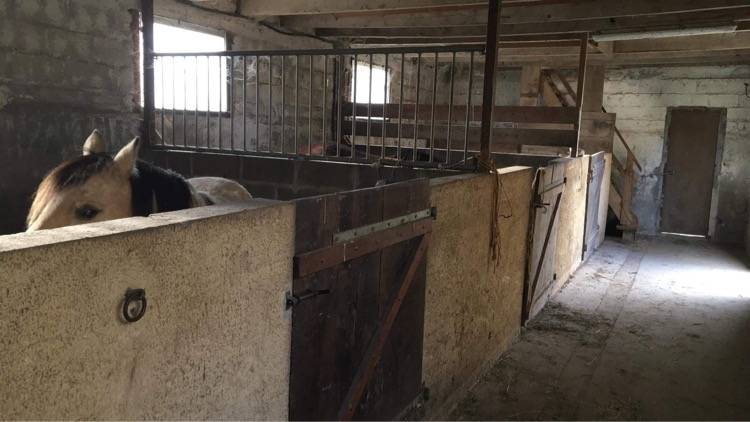 MAISON + HANGAR + ECURIE 3 BOX + PRAIRIE (sur 1,8 ha)