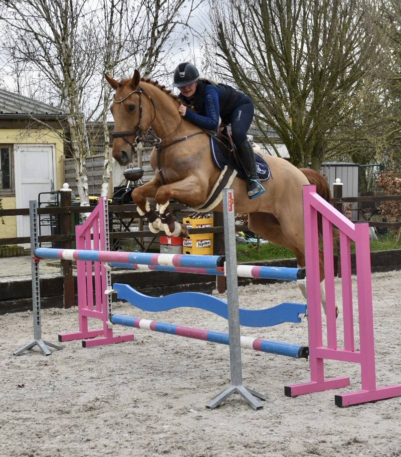 SUPERBE HONGRE MA&Icirc;TRE D &Eacute;COLE 