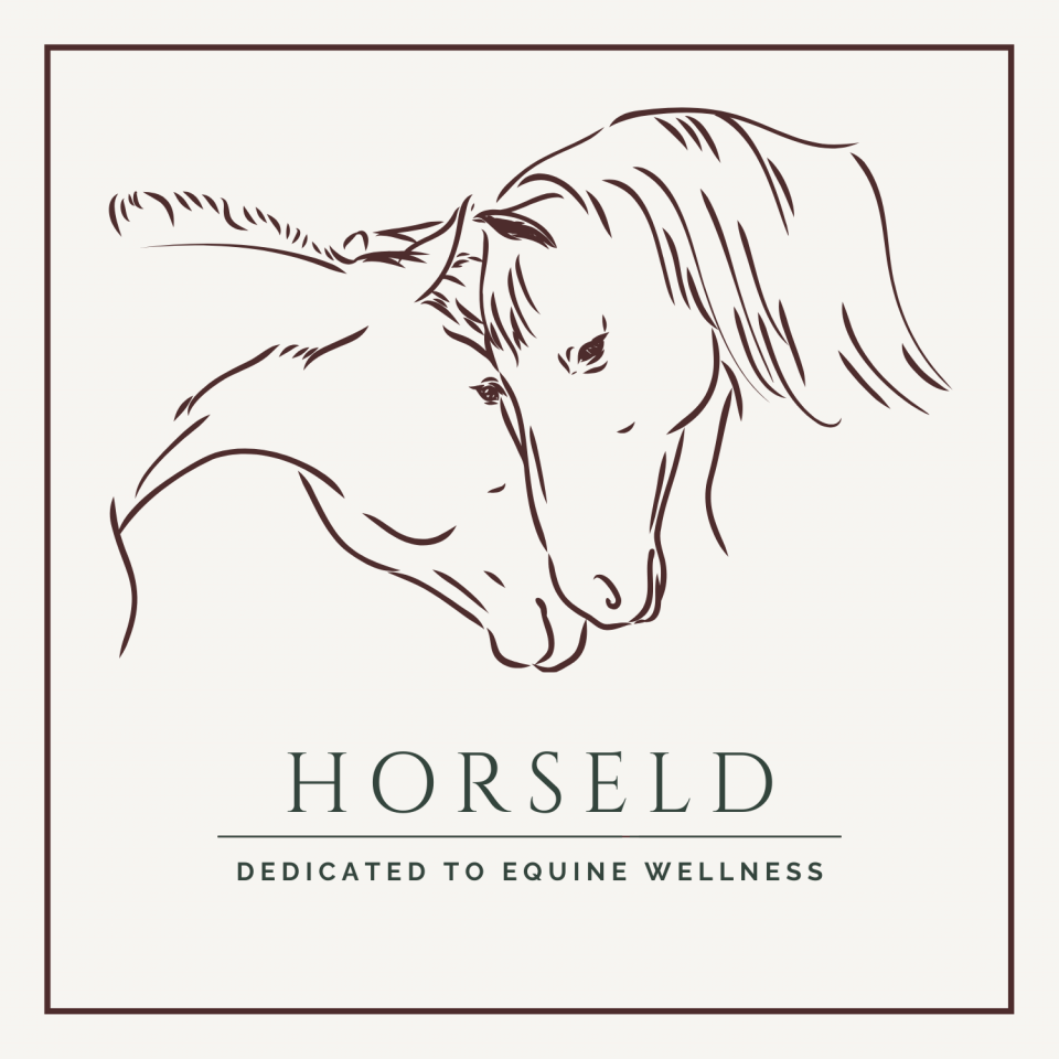 Horseld - Bien-&ecirc;tre du bin&ocirc;me cheval-cavalier