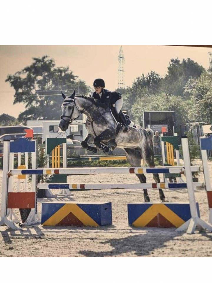 Petit fils de Garfield de Tiji des Templiers 