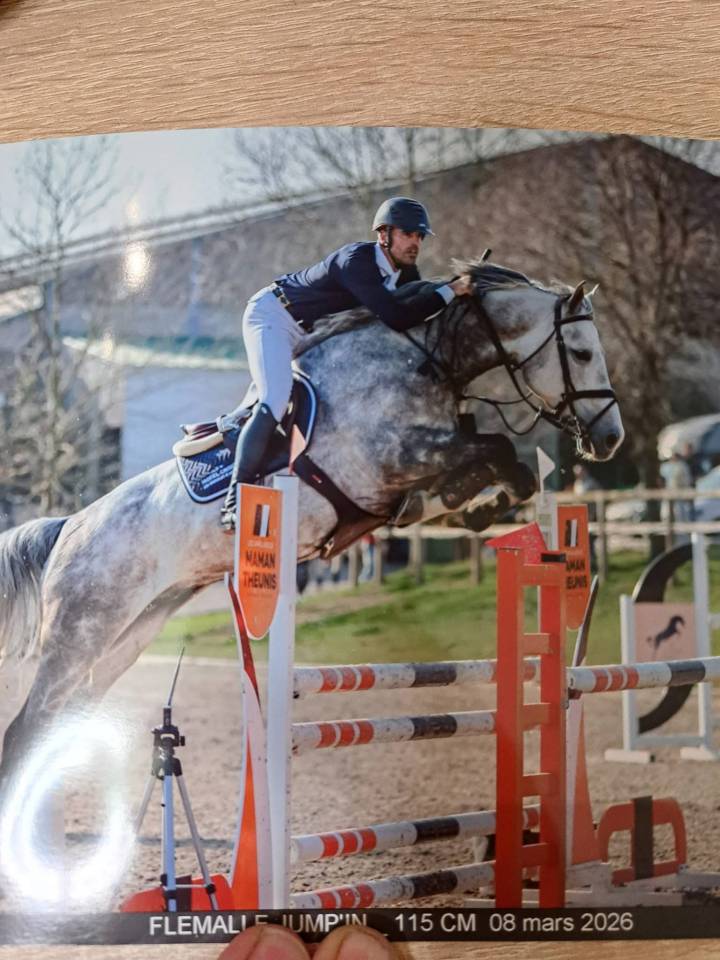 Petit fils de Garfield de Tiji des Templiers 