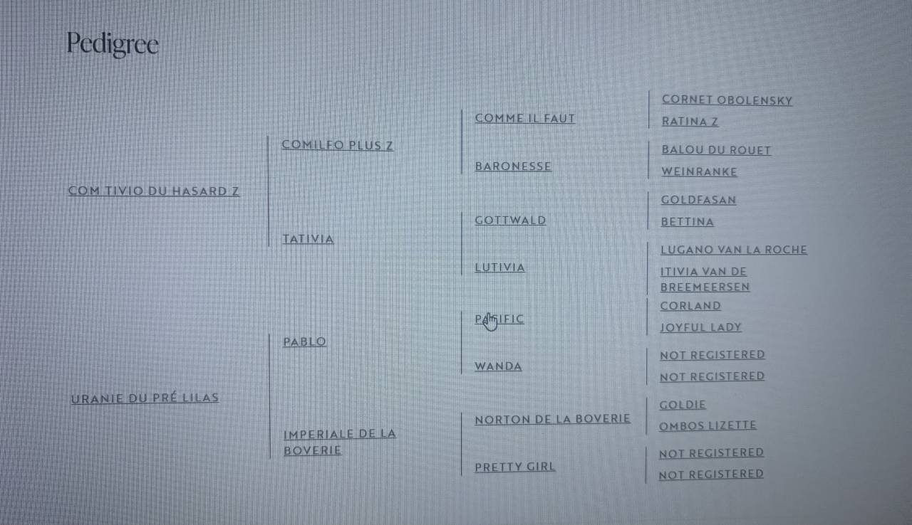 Petite fille de ComilfoPlus Z 