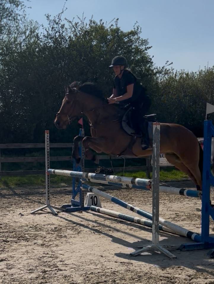 Polo De Pablo - Cheval &agrave; vendre de loisirs 9 ans