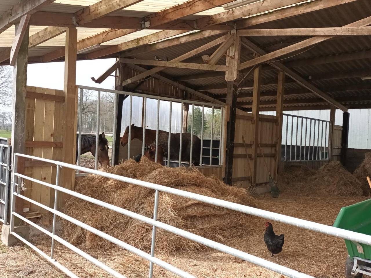 Propri&eacute;t&eacute; &eacute;questre avec g&icirc;te et infrastructures 