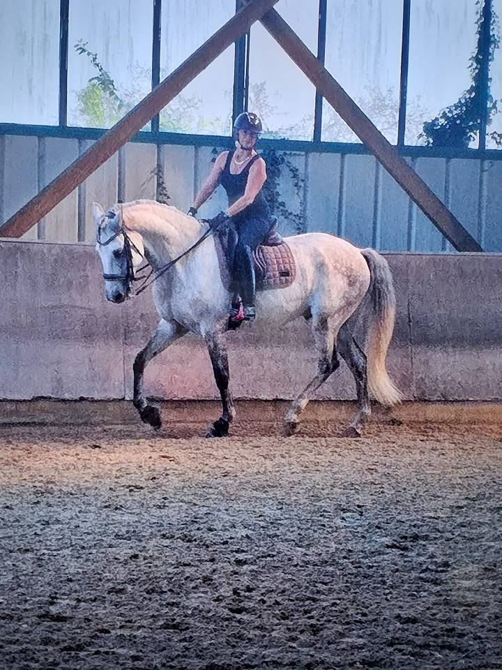 Cheval