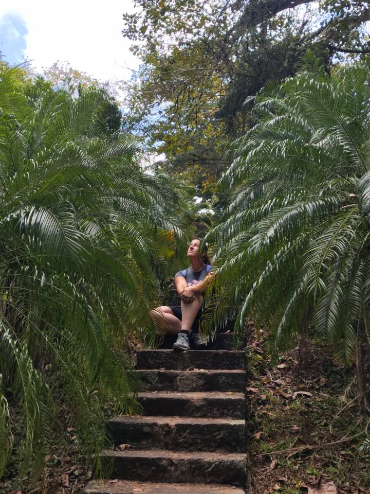 Enseignante - Administratif &eacute;questre (Suisse)