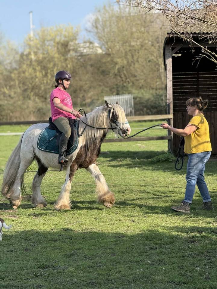 Irish cob 3 ans