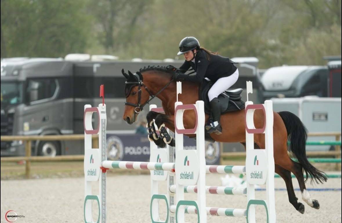 &Agrave; vendre Umbro poney pr&ecirc;t sur 120/125