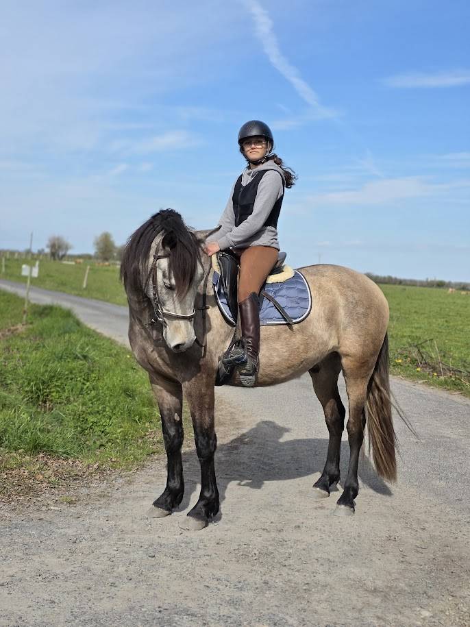 Cheval espagnol randonn&eacute;e