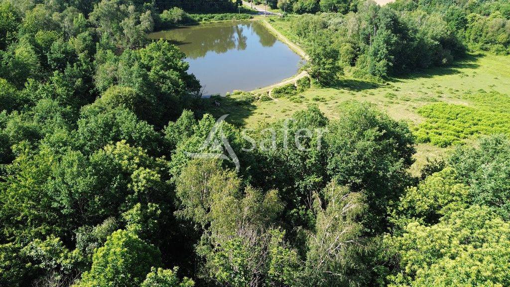Ensemble b&acirc;ti avec environ 12ha60 et son plan d'eau.