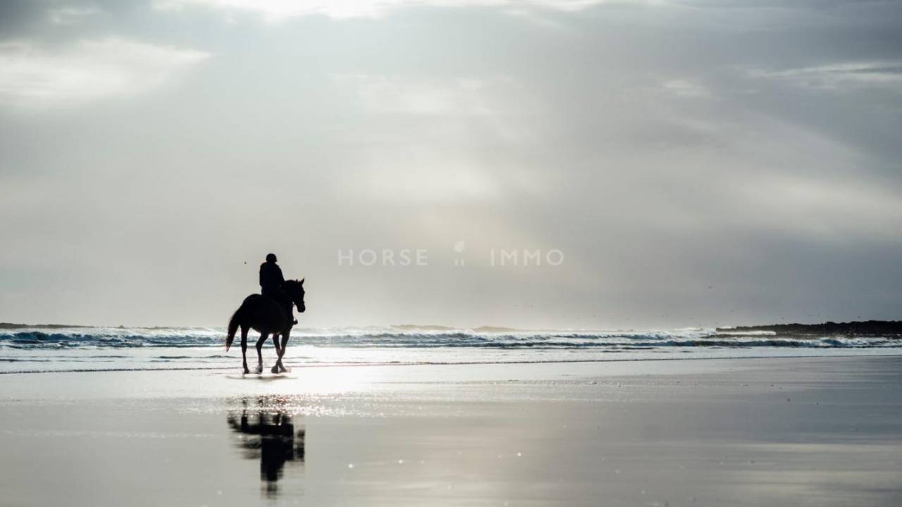 Splendide domaine de 5 hectares en bord de mer