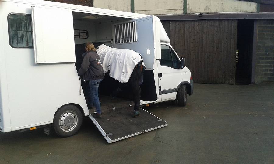 Camionnette Chevaux Theault