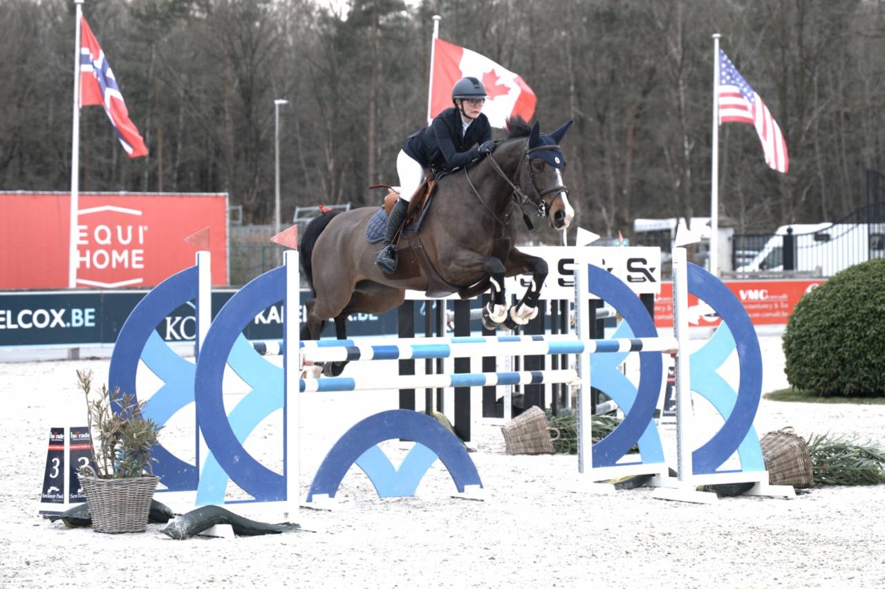 Jument professeur a vendre 