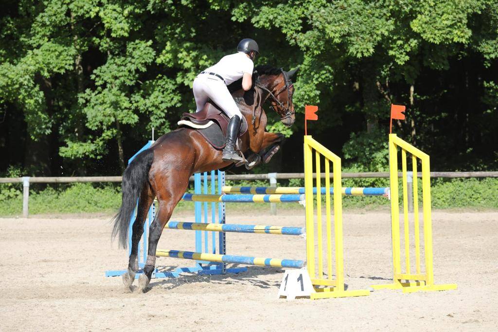 Envolmoi d&rsquo;Harreville SF 12 ans 