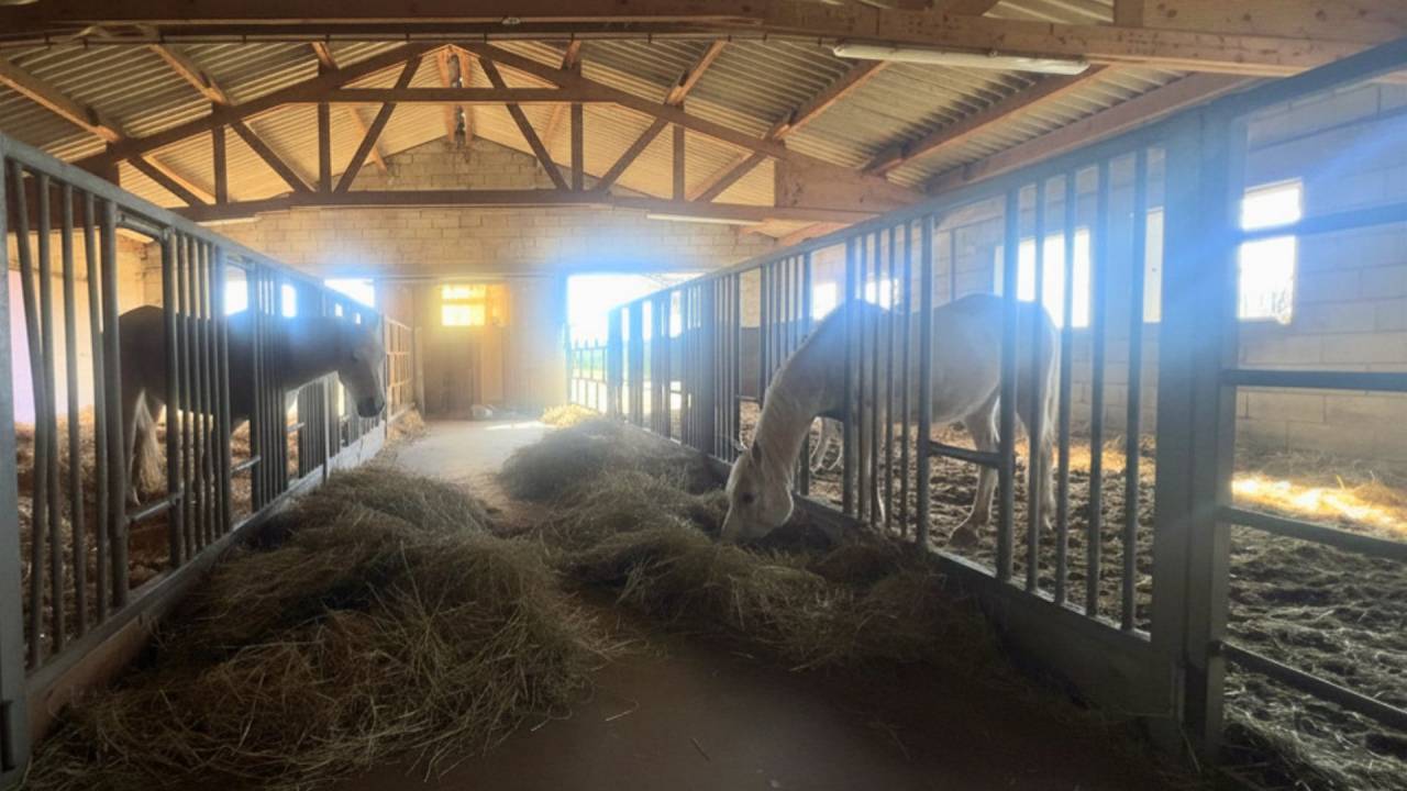 Propri&eacute;t&eacute; &eacute;questre avec habitations, et 6,5 ha (12 ha)