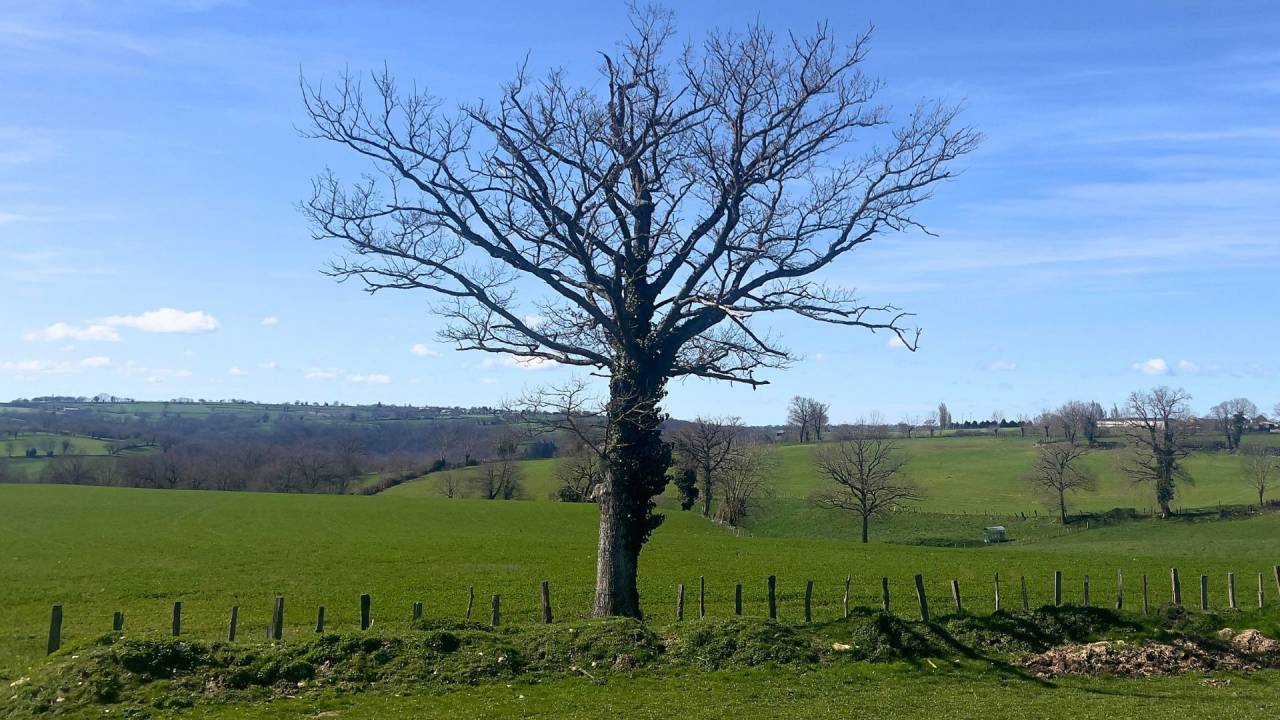 Propri&eacute;t&eacute; &eacute;questre avec habitations, et 6,5 ha (12 ha)
