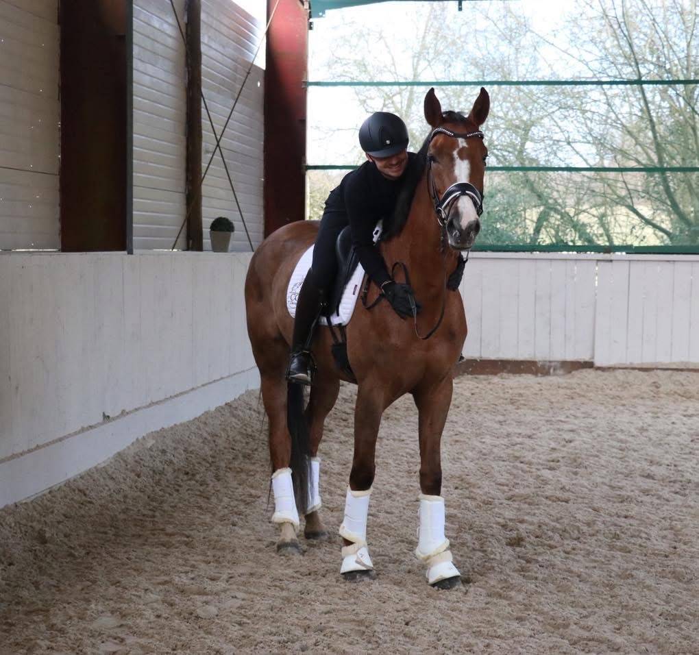 Prometteuse Jument Hanovrienne 