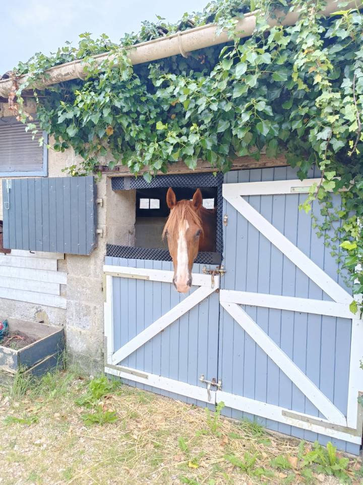 Propri&eacute;t&eacute; &eacute;questre de charme sur 4 ha