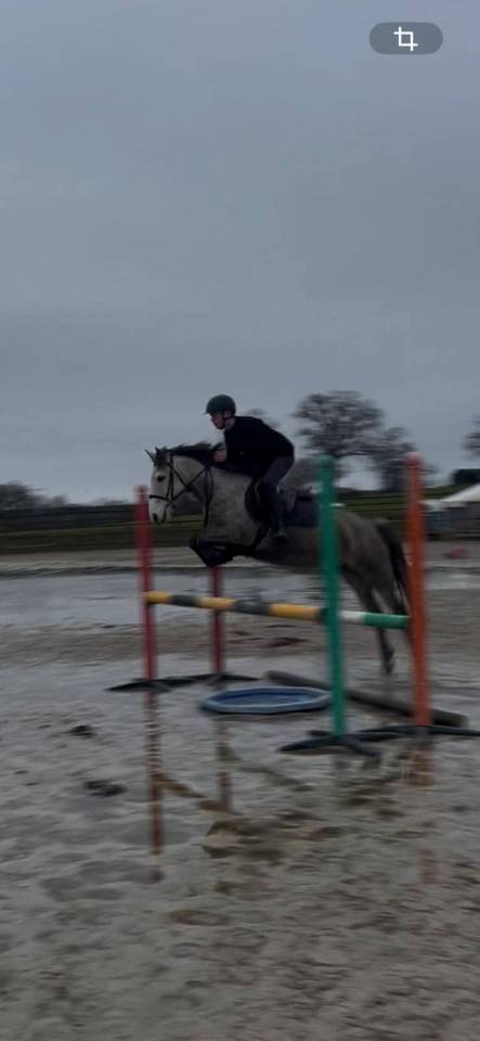 Ponette de sport performante