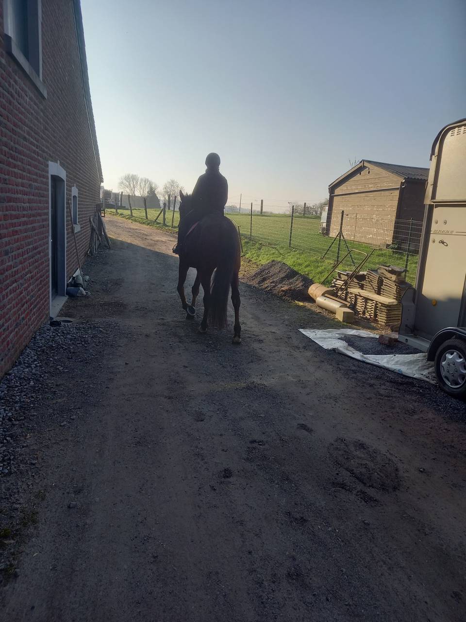 Hongre 1m70 6ans tr&egrave;s gentil