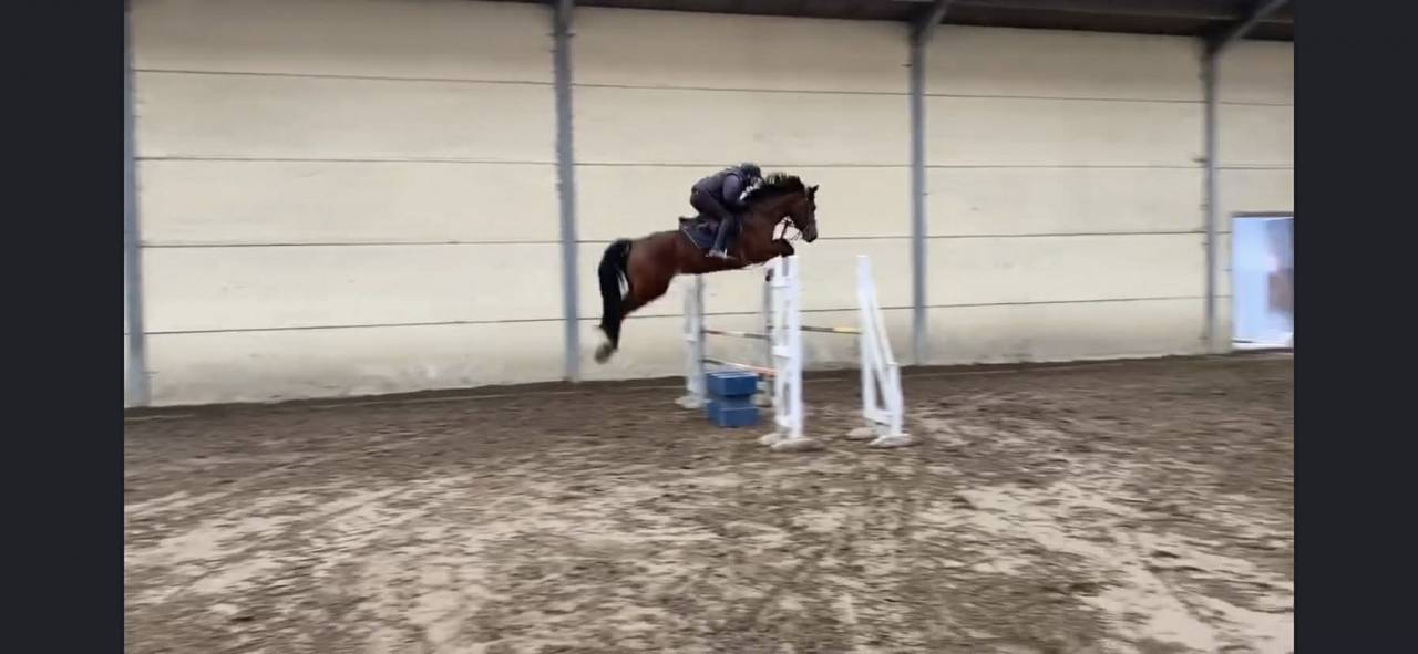 Pr&eacute;lude Van De Coefering 