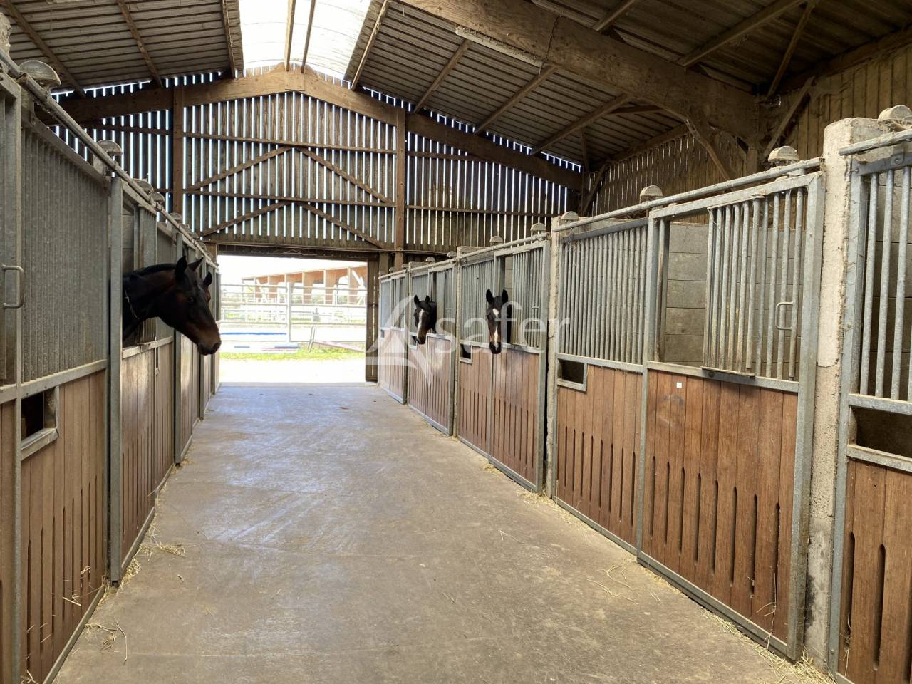 Haras Chevaux de Sport - Centre de Reproduction - &eacute;levage et va
