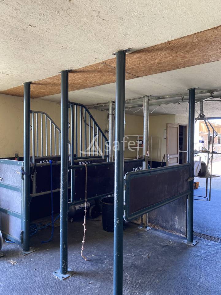 Haras Chevaux de Sport - Centre de Reproduction - &eacute;levage et va