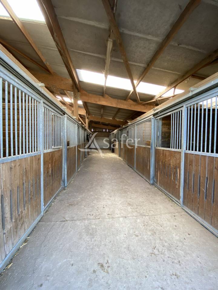 Haras Chevaux de Sport - Centre de Reproduction - &eacute;levage et va