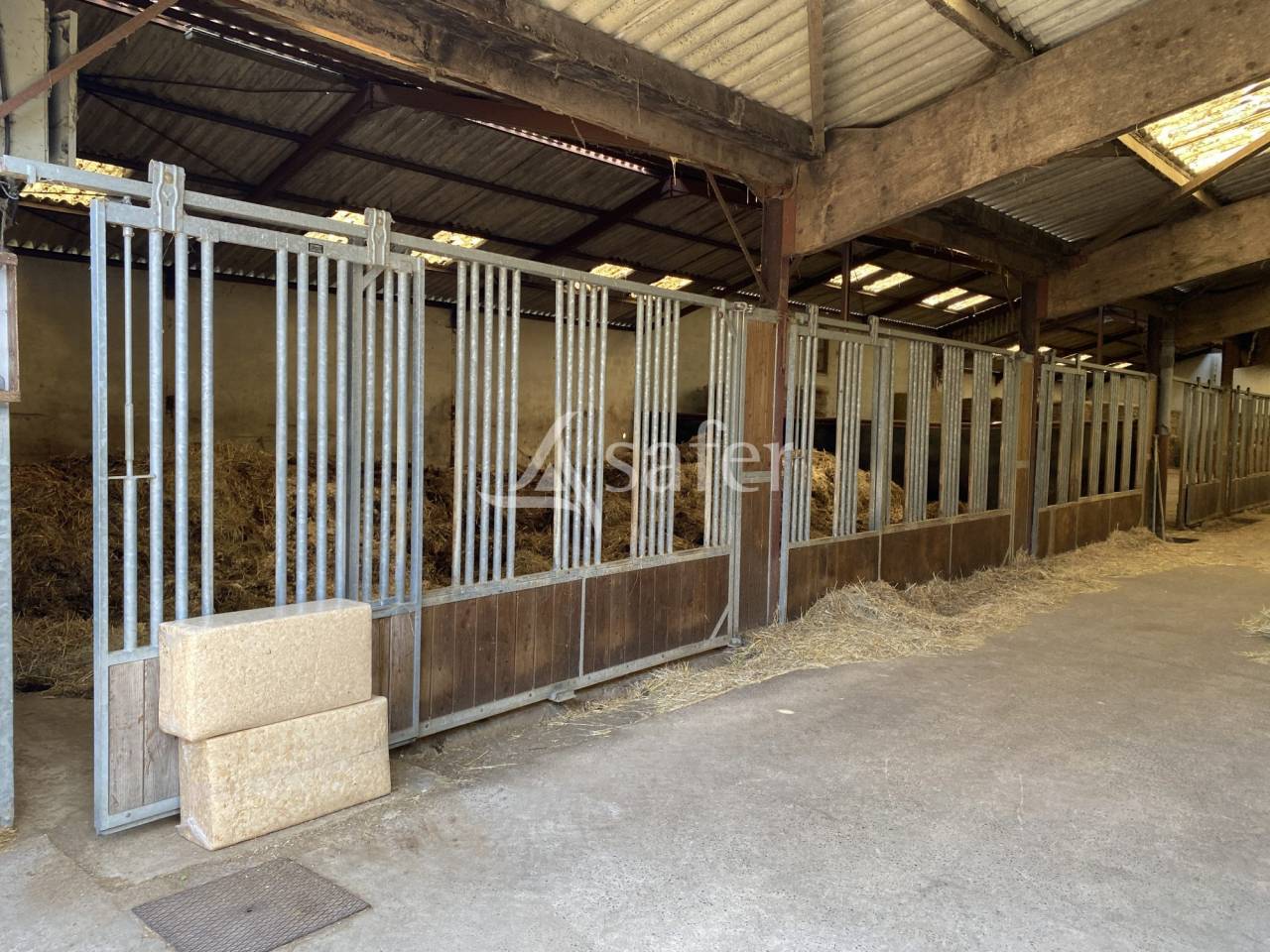 Haras Chevaux de Sport - Centre de Reproduction - &eacute;levage et va