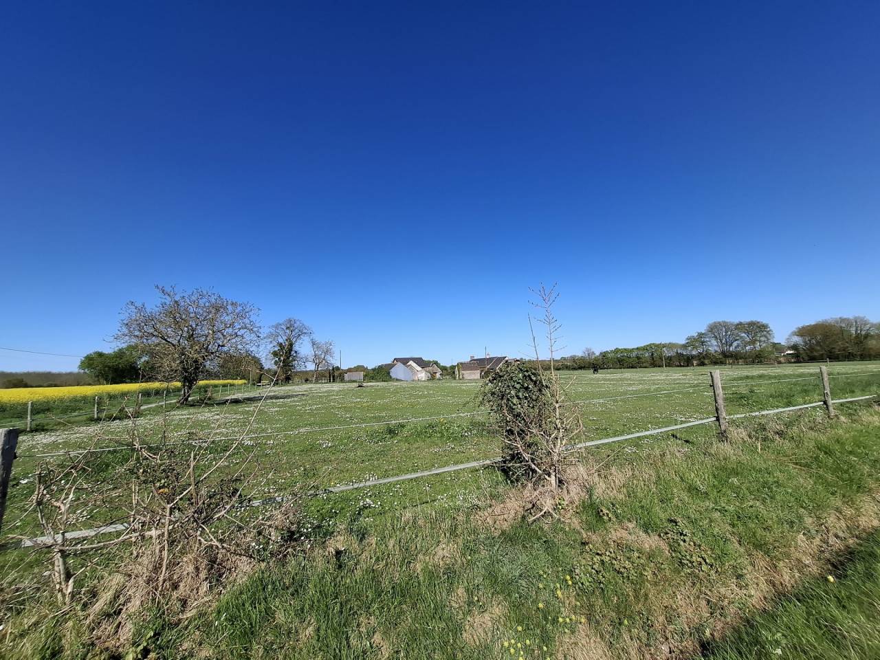 Maison avec installations &eacute;questres  6,42 hectares  Maine