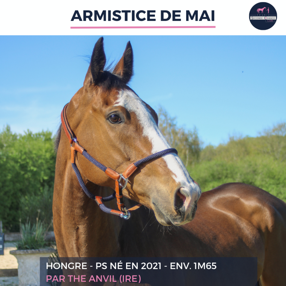 ARMISTICE DE MAI - PS - 5 ANS