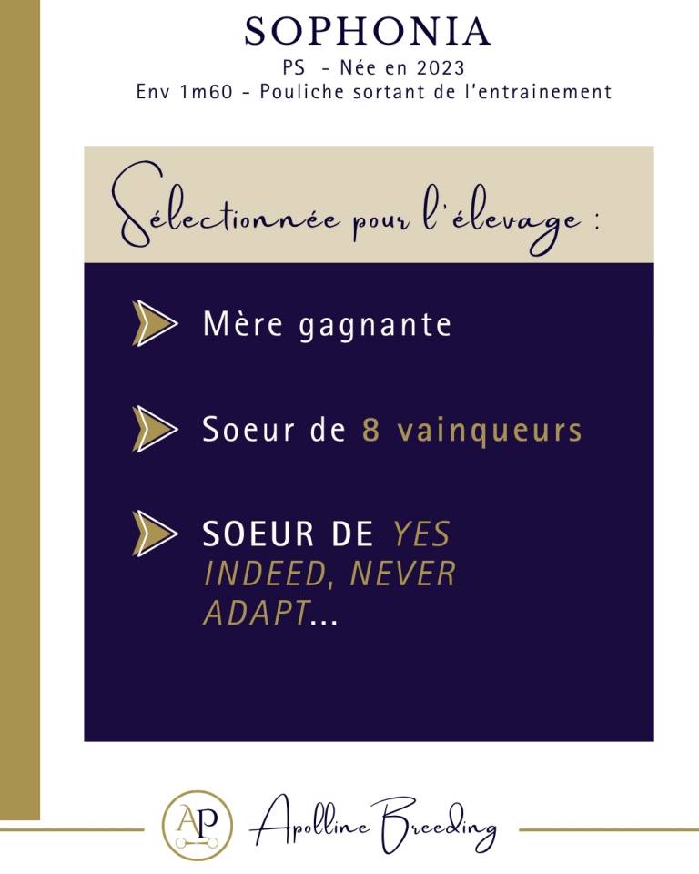 Soeur de 8 vainqueurs et 2 black type