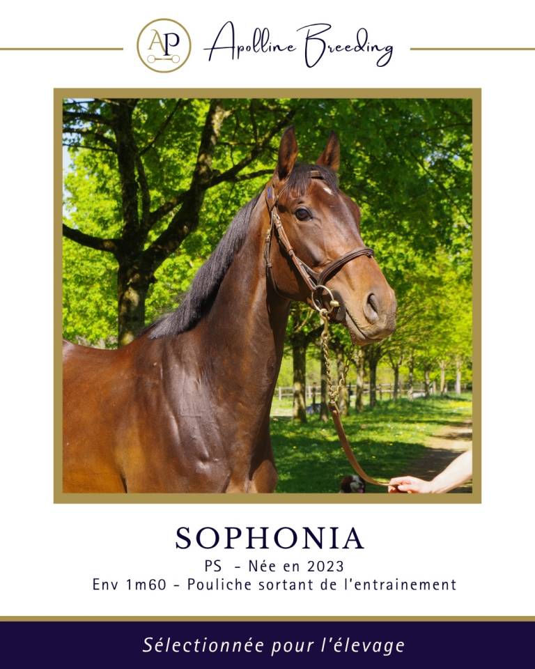 Soeur de 8 vainqueurs et 2 black type