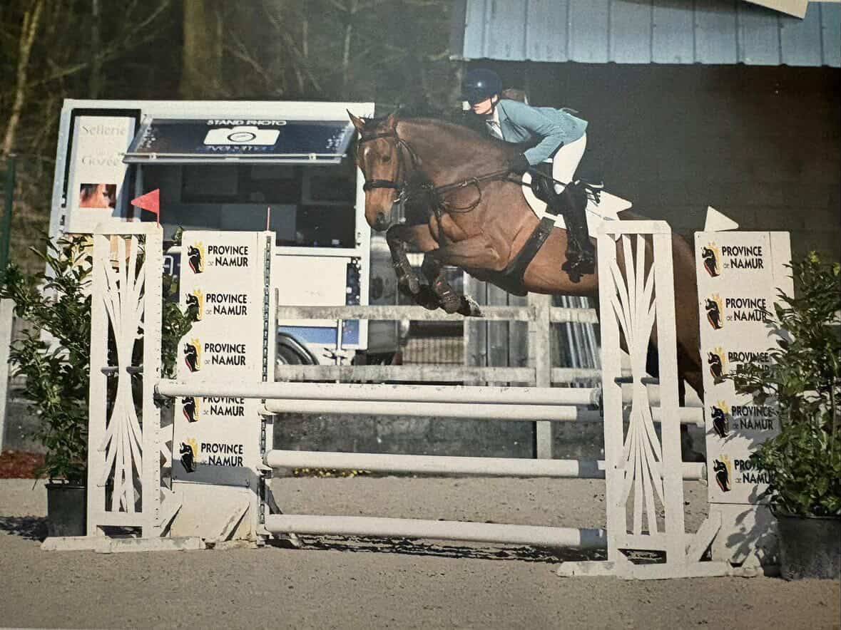 Superbe Jument 9 ans 