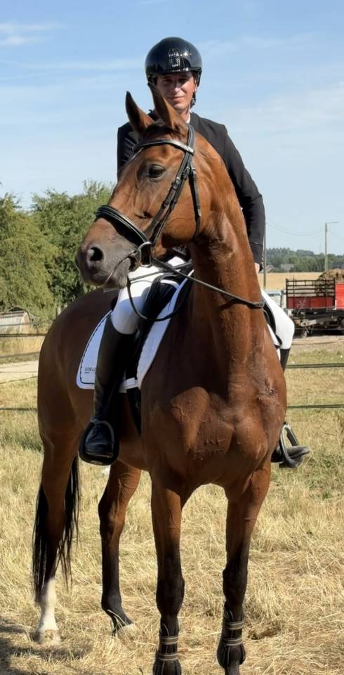 Superbe Jument 9 ans 