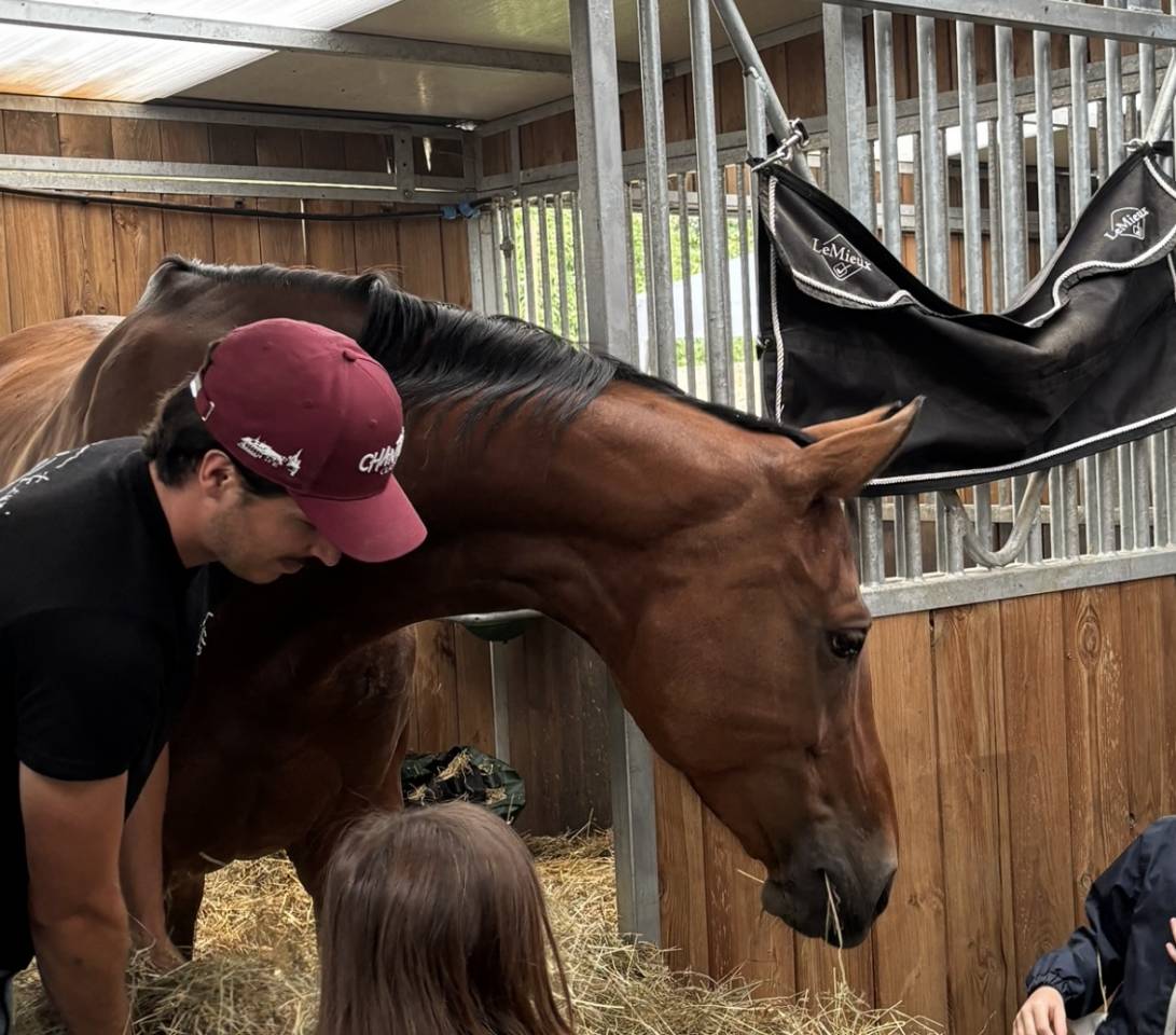 Superbe Jument 9 ans 