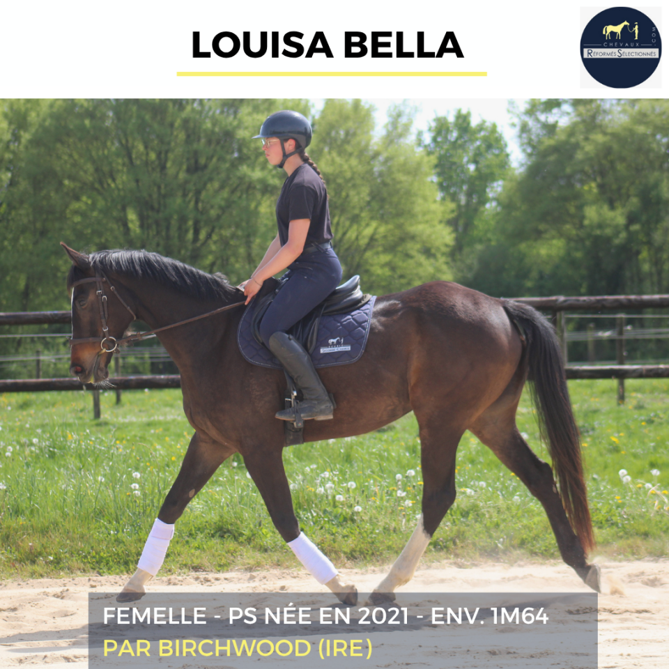 LOUISA BELLA - PS - 5 ANS