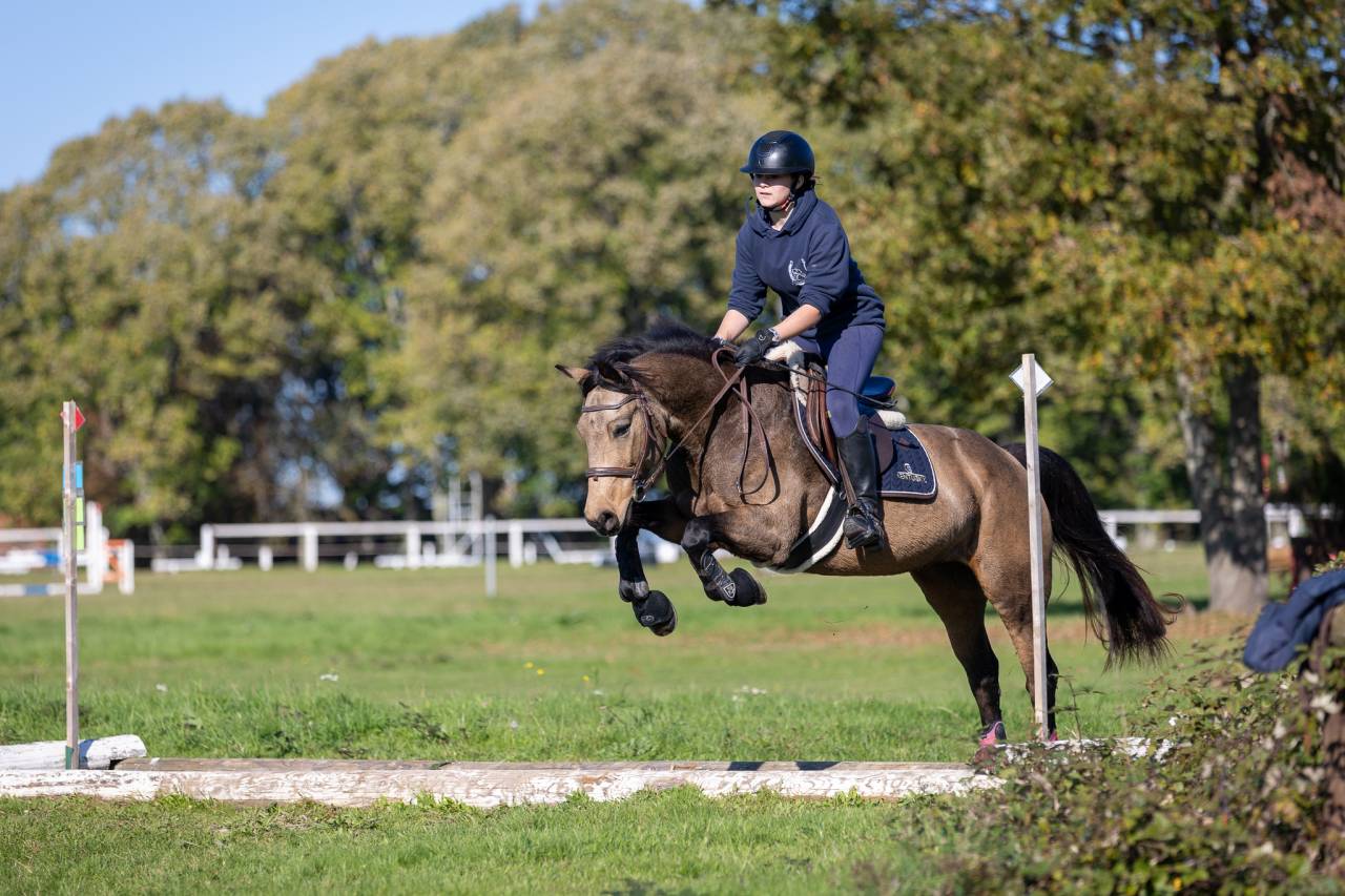 Pouliche 2024 D (Goldwyn d'Embets) isabelle Dun Splash