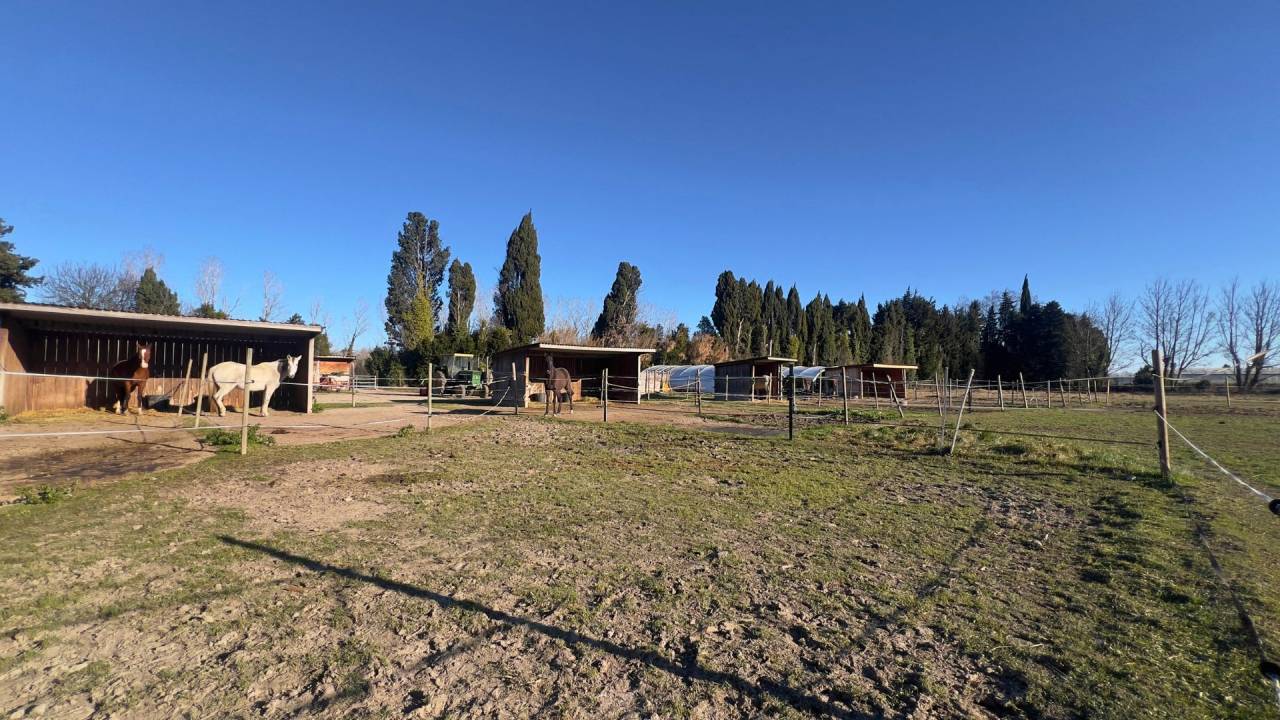  Alpilles : mas proven&ccedil;al authentique sur 5,5 hecatres 