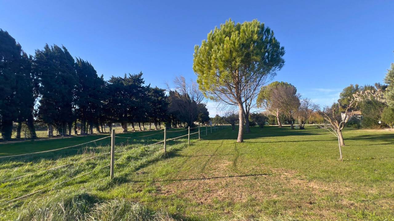  Alpilles : mas proven&ccedil;al authentique sur 5,5 hecatres 