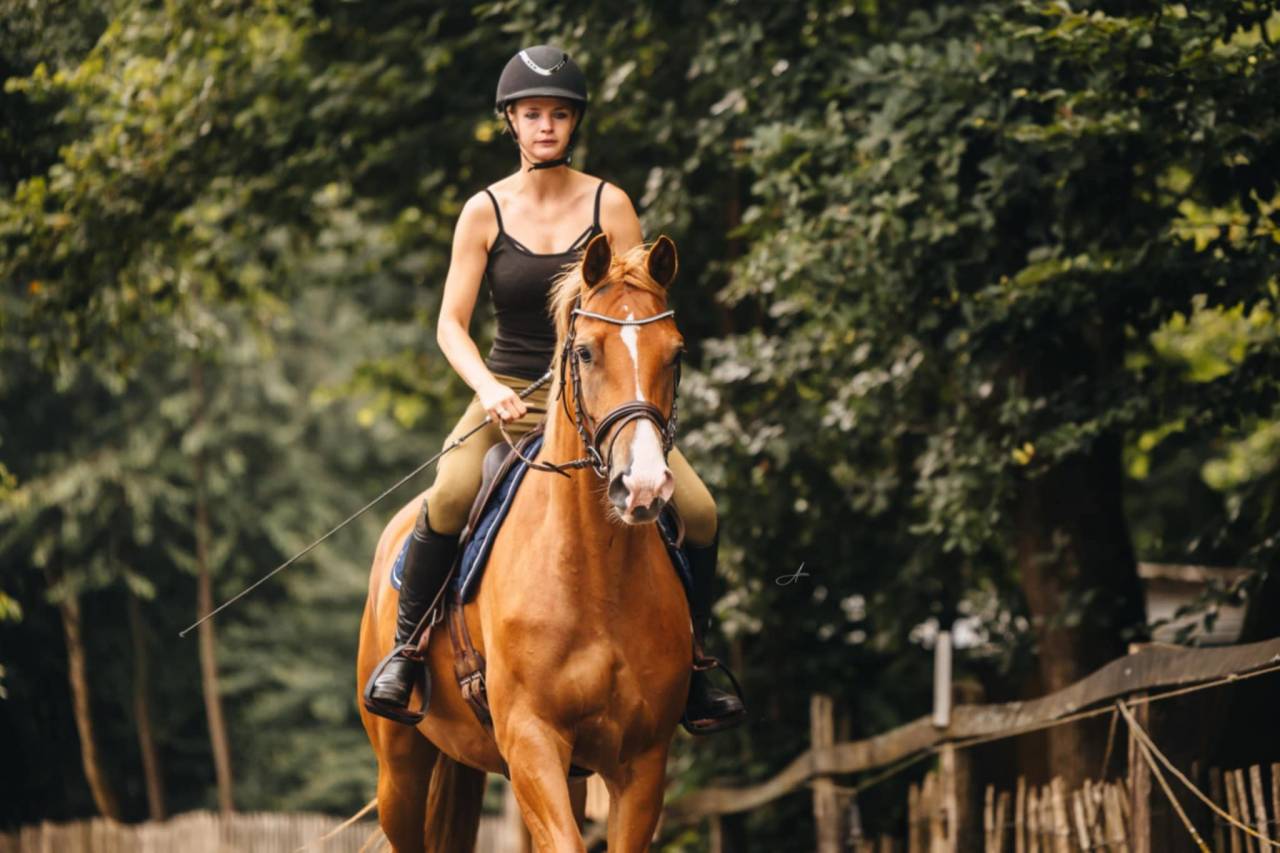 Jument Oldenburg 6 ans