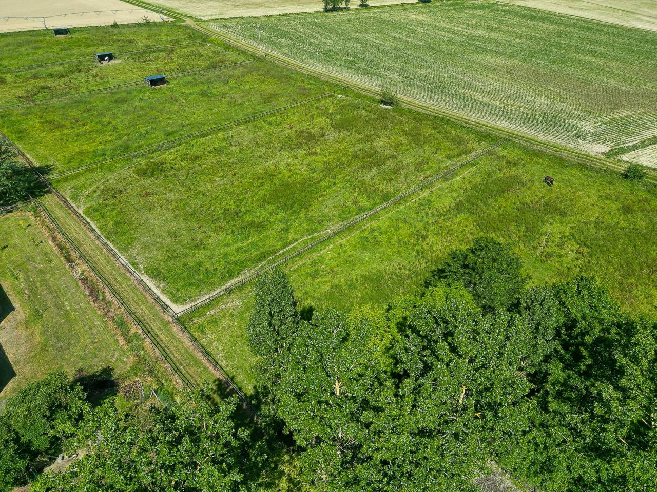 DOMAINE EQUESTRE PROFESSIONNEL SUR 6,5 HA - (65)