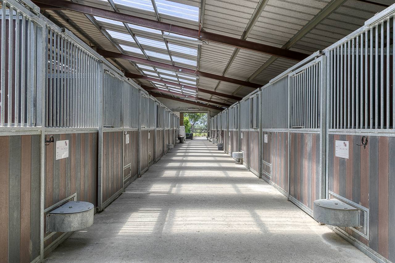 DOMAINE EQUESTRE PROFESSIONNEL SUR 6,5 HA - (65)