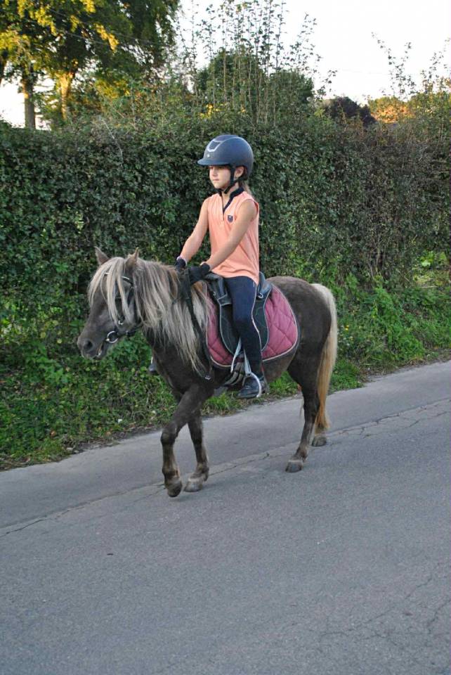 Adorable jument Classic Pony - 6 ans &ndash; 104 cm